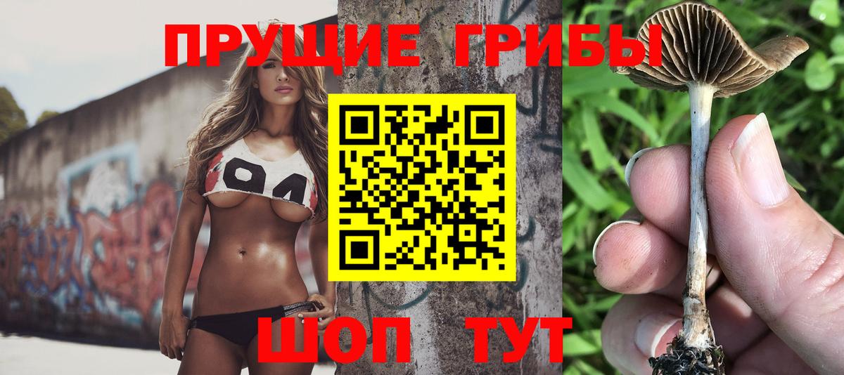 Псилоцибиновые грибы ЛСД Карасук