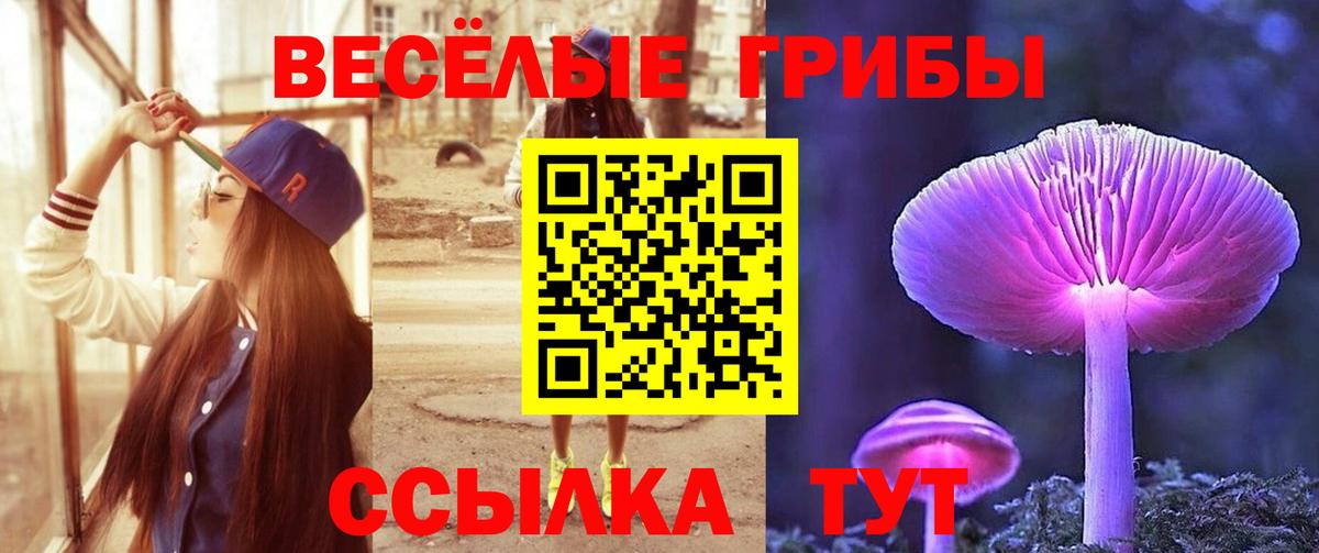 Галлюциногенные грибы прущие грибы  Вход с VPN  Карасук 